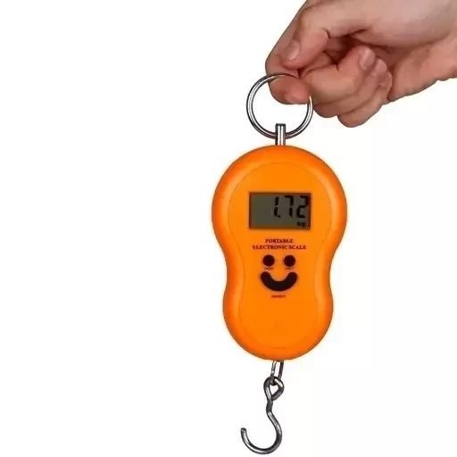 ترازوی دیجیتال آویزی قابل حمل بساطی فروشگاهی 10 کیلو