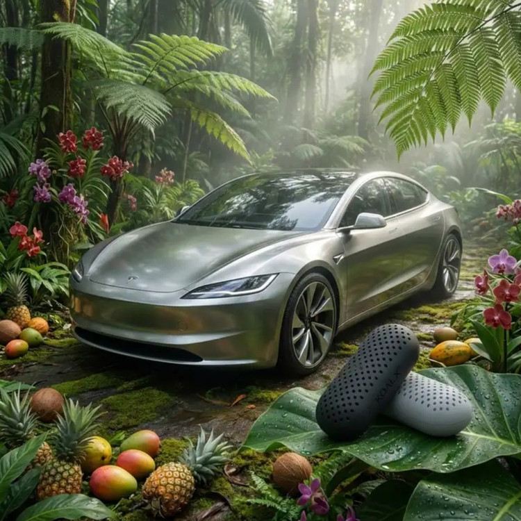 بوگیر و خوشبوکننده خودرو کوال ایکس مدل CAR QUAD ECOSYSTEM رایحه تروپیکال میوه های استوایی حجم 600 میلی لیتر بسته 4 عددی