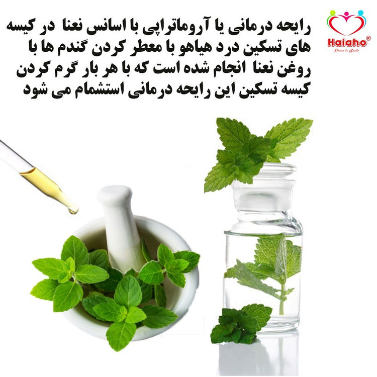 کیسه تسکین درد هیاهو مدل آروماتراپی اسانس نعنا کد Wheat-50x50-6
