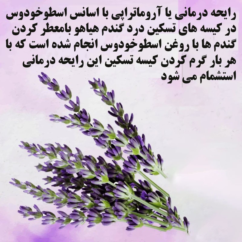کیسه تسکین درد هیاهو مدل آروماتراپی اسانس اسطوخودوس کد Wheat-20x20-6