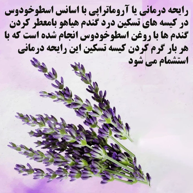 کیسه تسکین درد هیاهو مدل آروماتراپی اسانس اسطوخودوس کد Wheat-25x25
