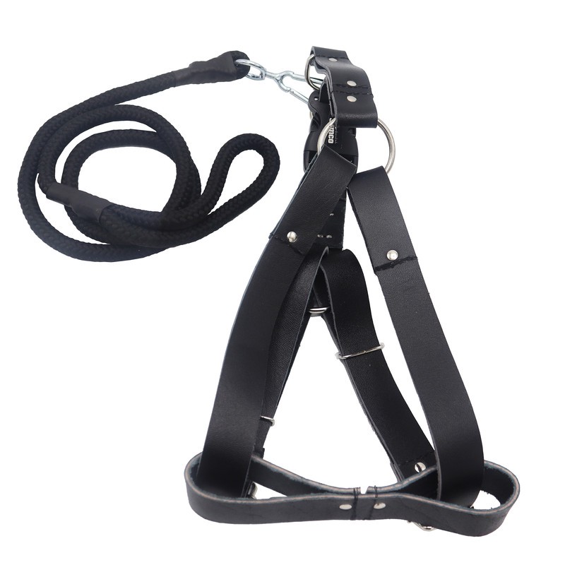 قلاده کمری به همراه لید سامکو مدل YP3-LIDDAR135CM
