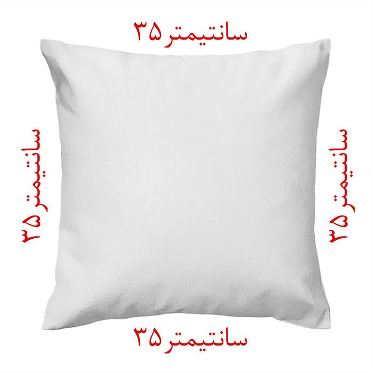 کاور کوسن مدل ژاکارد co35-244