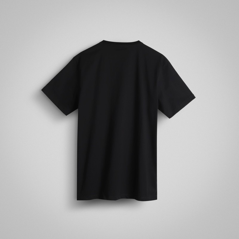 تیشرت آستین کوتاه مردانه باینت مدل 832-1